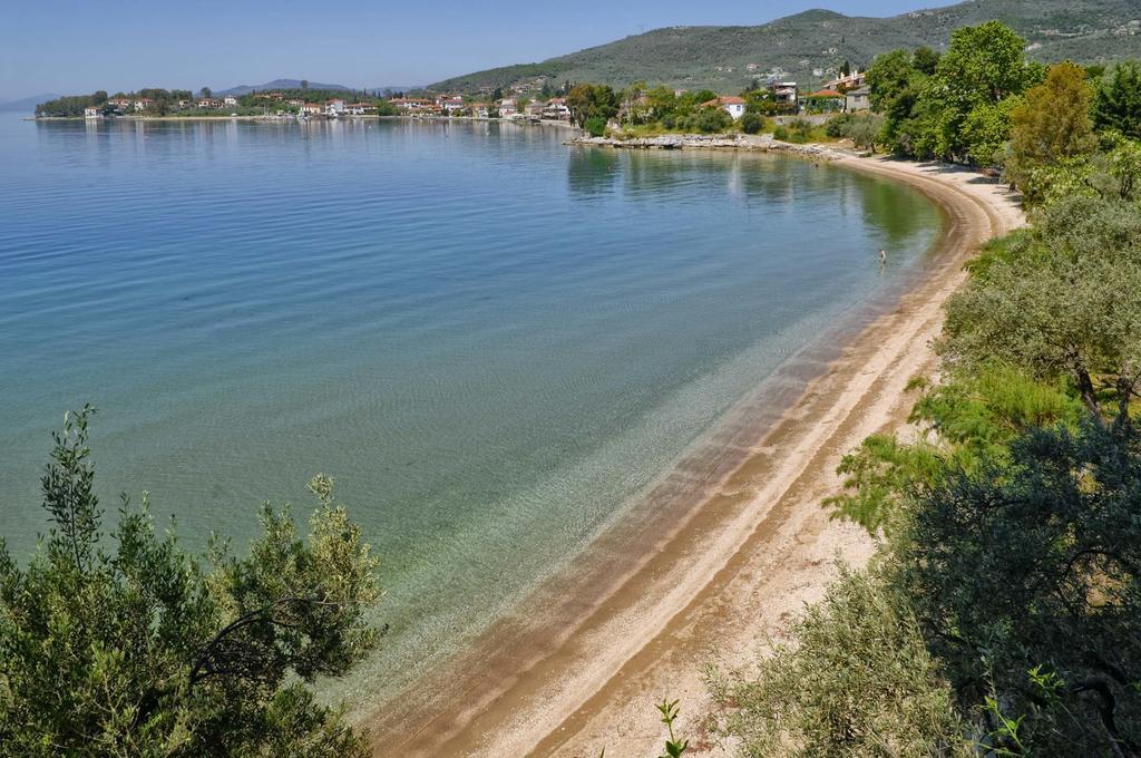 Ξενοδοχείο Συκιά II Κάτω Γατζέα Εξωτερικό φωτογραφία